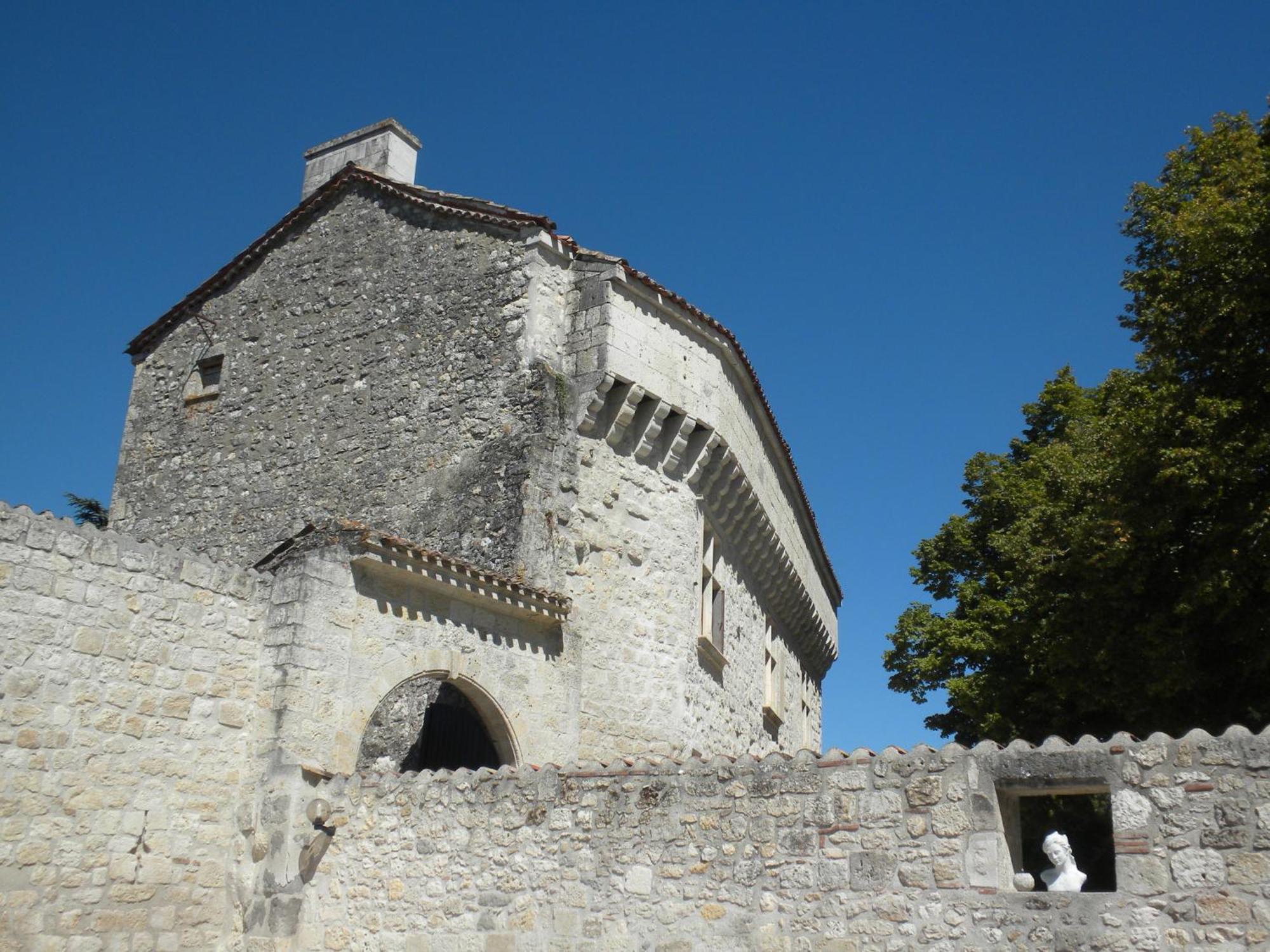 Chateau De Pleneselve Bon-Encontre Exterior foto
